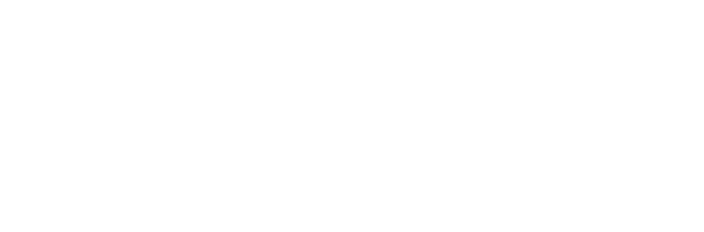 Wisdom Education Logo White