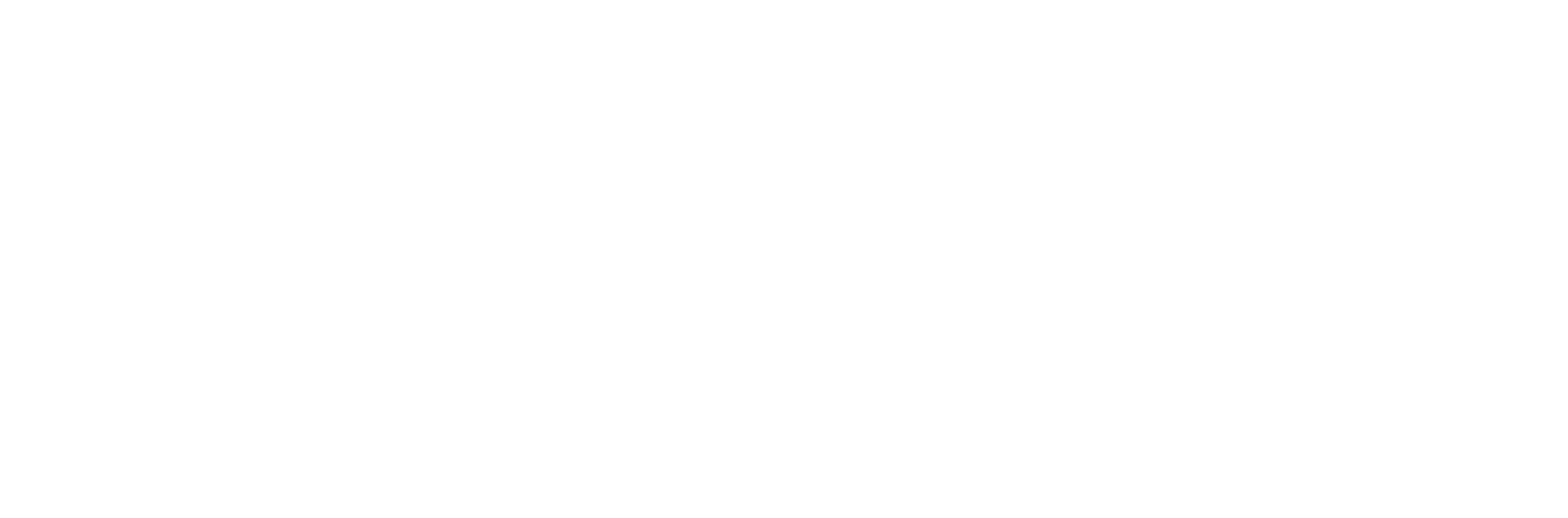 Wisdom Education Logo White